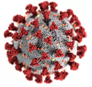 Wizualizacja koronawirusa SARS-CoV-2